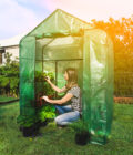 Greenhouses - Walk-in Greenhouse Kit