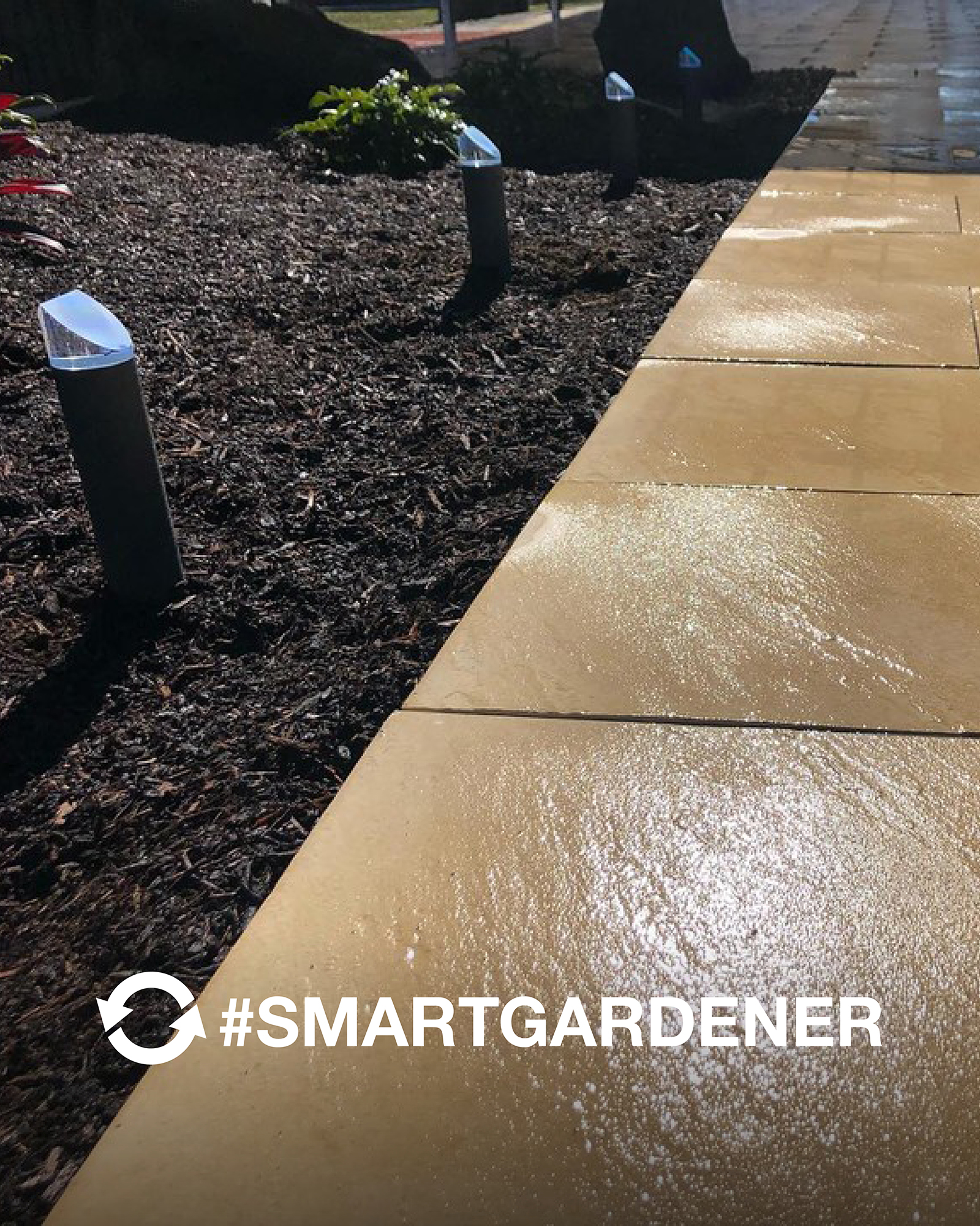 SMARTGARDENER posts - exoticlandscapesbrisbane 2