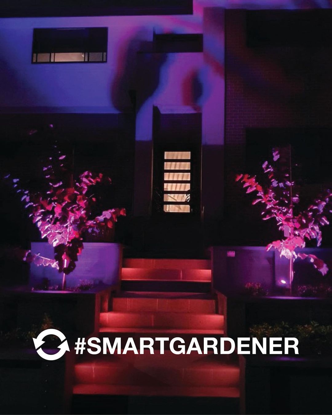 SMARTGARDENER posts - styelishh