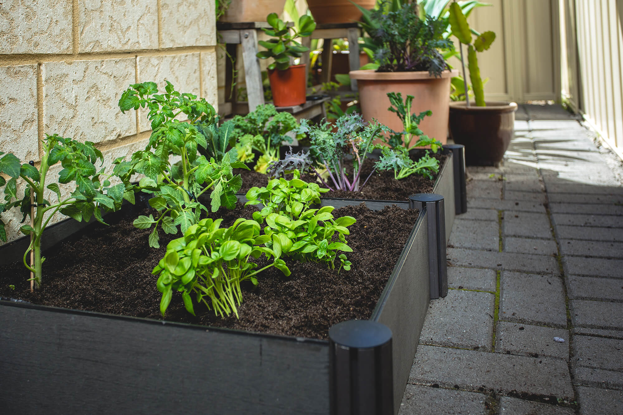 raised-garden-bed-banner