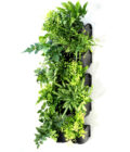 GWP10K-connect-a-pot-GreenWall