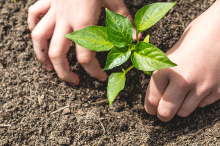 Kids-Easter-Gardening-Projects-Header