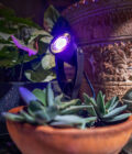 Garden Lights - RGB Colour Mini Spotlight Starter Pack