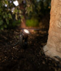 Garden Lights - Warm White Mini Spotlight