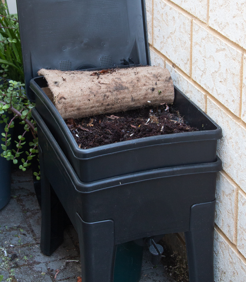 tips-for-gardening-in-rental-spaces-image-4