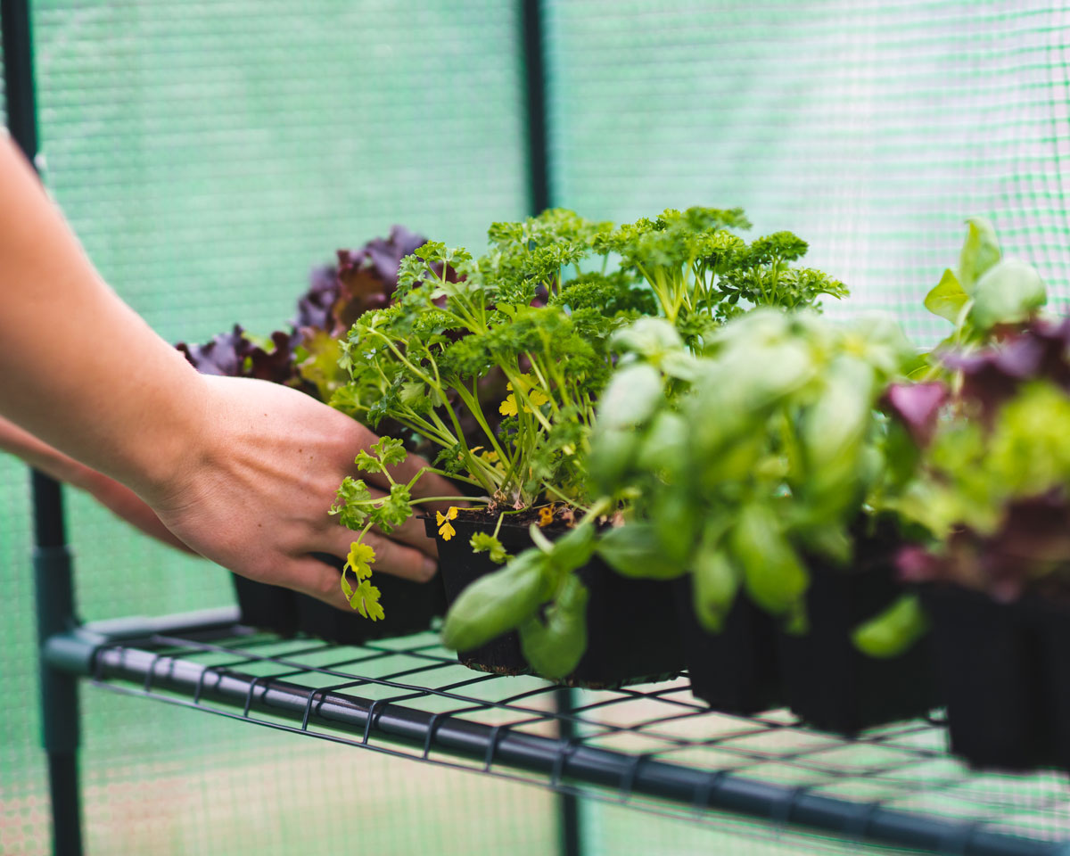 picture of walk-in greenhouse for mother's day gift ideas