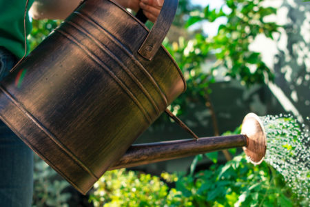 Our Top Mother's Day Gift Ideas