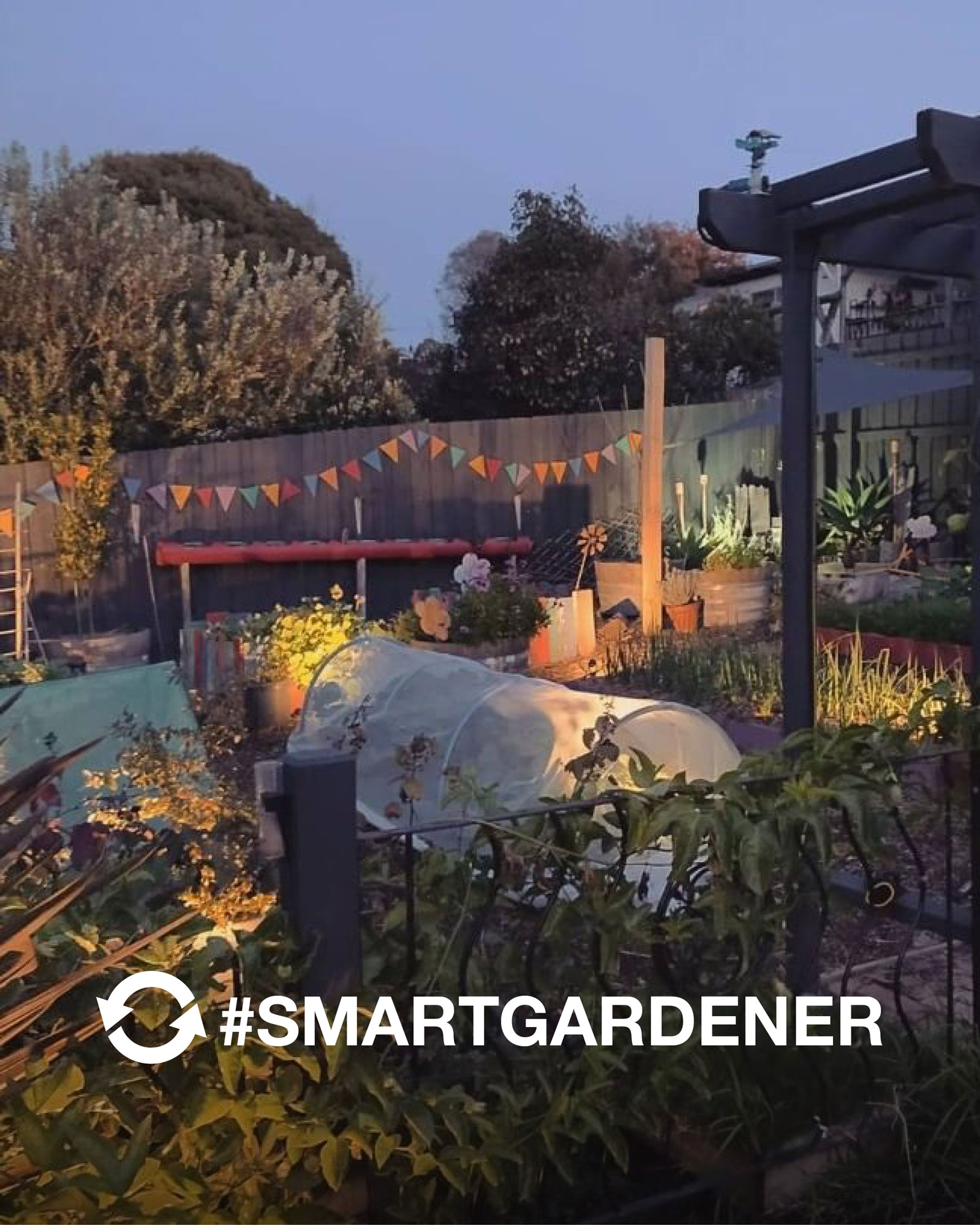 SMARTGARDENER post - ourlittle.backyardfarm2