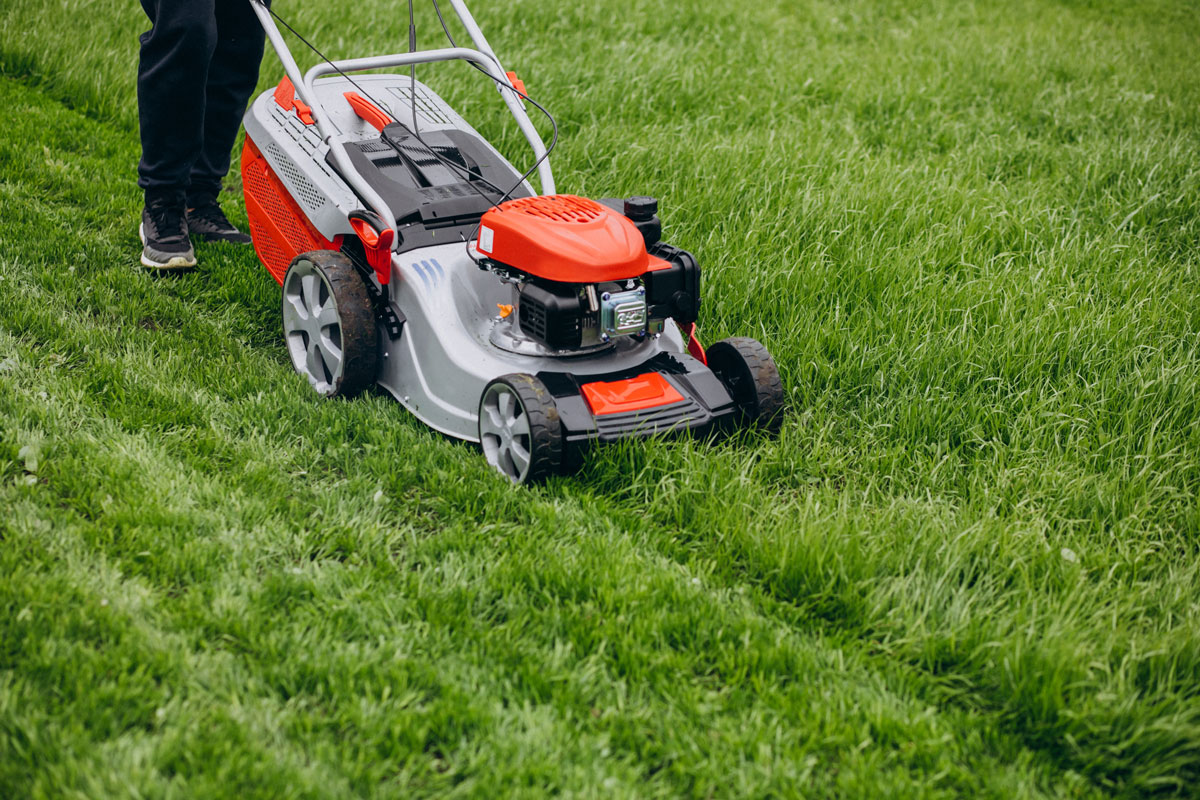 garden for winter - mowing lawn garden for winter - mowing lawn