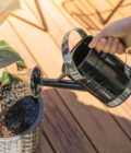 WC0006 1.8L Black Watering Can 2
