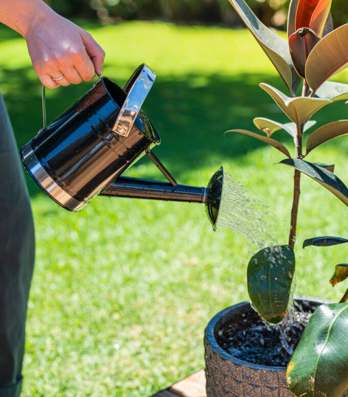 WC0006 1.8L Black Watering Can