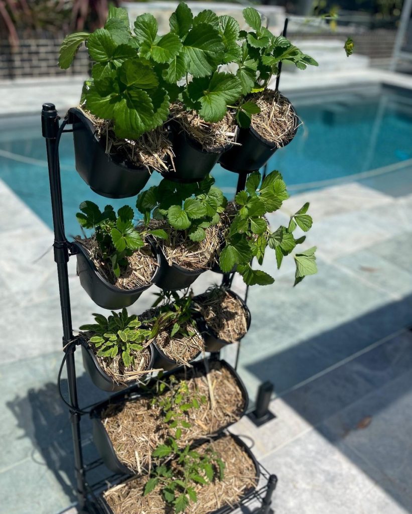 GreenWall® Mobile Garden Kit Holman Industries