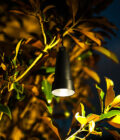 PTLW433 Warm White Hanging Tree Light
