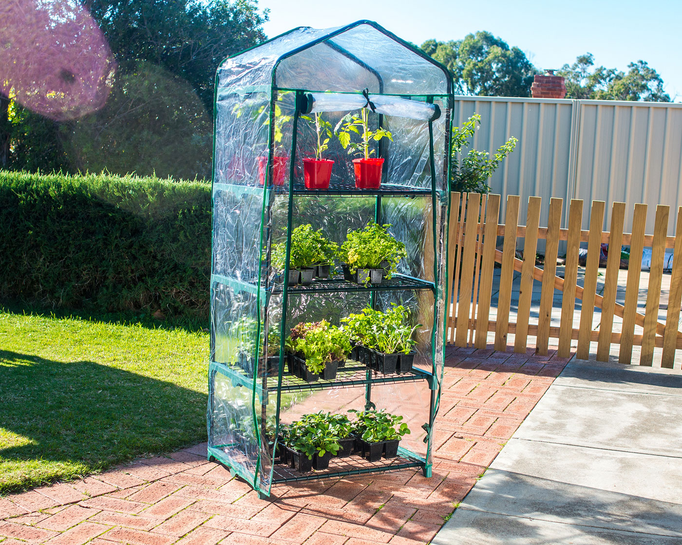 Greenhouse-for-Spring-1 Greenhouse-for-Spring