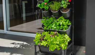 How to set up your own mobile herb garden