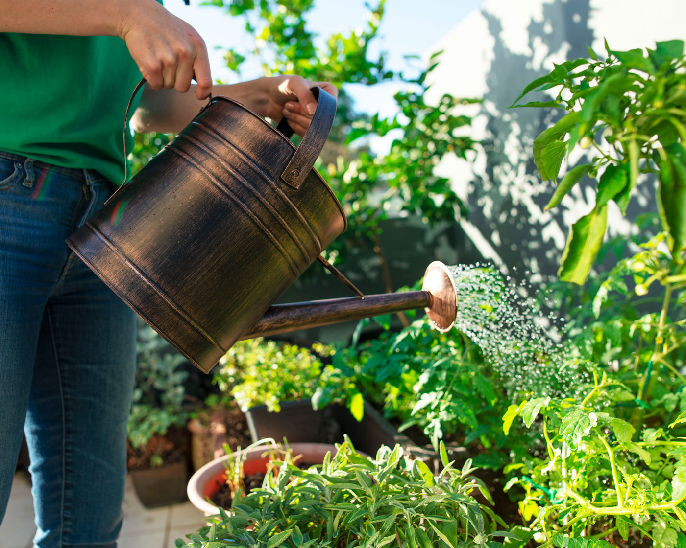 watering-can-in-spring