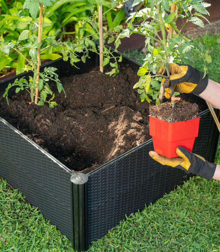 RGB663R-RGB663R-600-x-300mm-Rattan-Raised-Garden-Bed-Planting RGB663R-600-x-300mm-Rattan-Raised-Garden-Bed-Planting