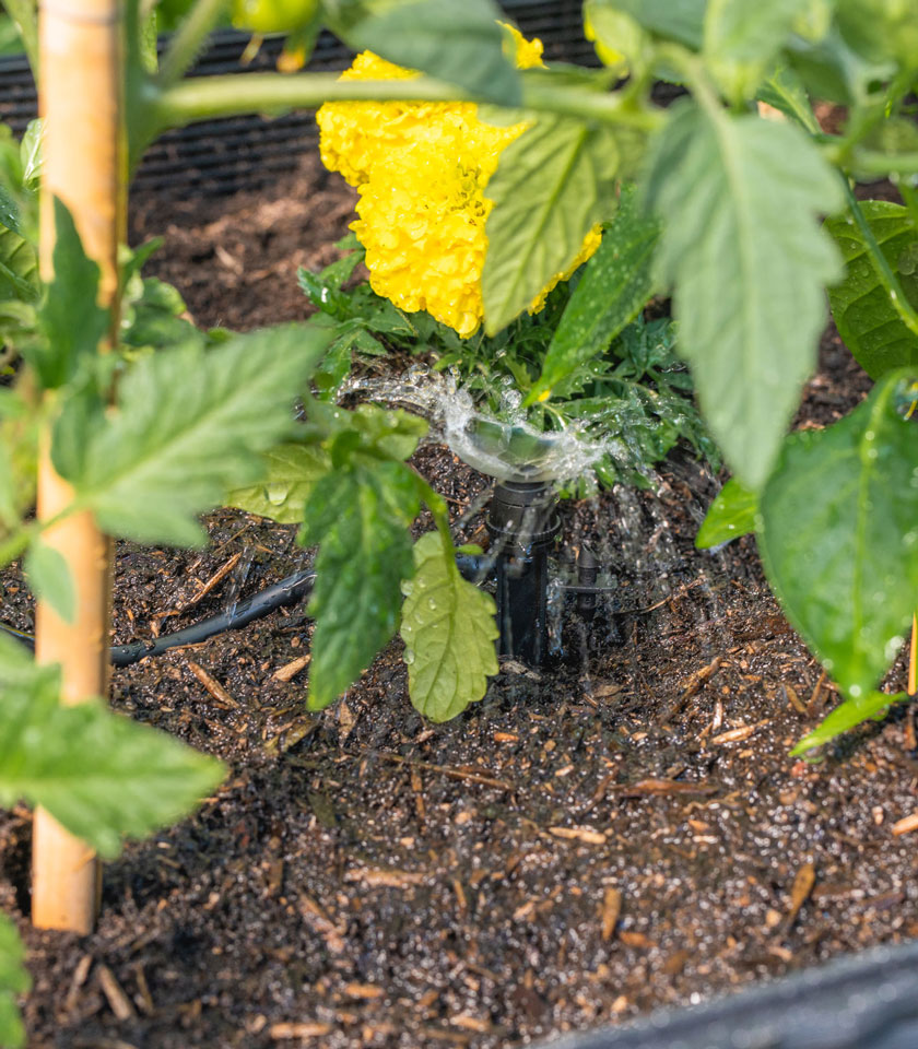 RGB663R-RGB663R-600-x-300mm-Rattan-Raised-Garden-Bed-Watering RGB663R-600-x-300mm-Rattan-Raised-Garden-Bed-Watering