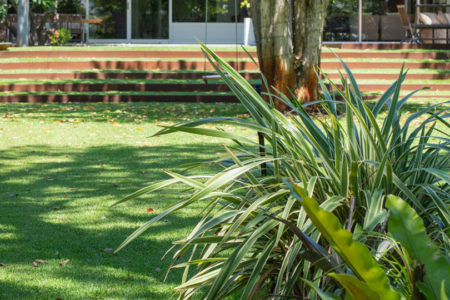 keeping-your-lawn-green-in-summerheader