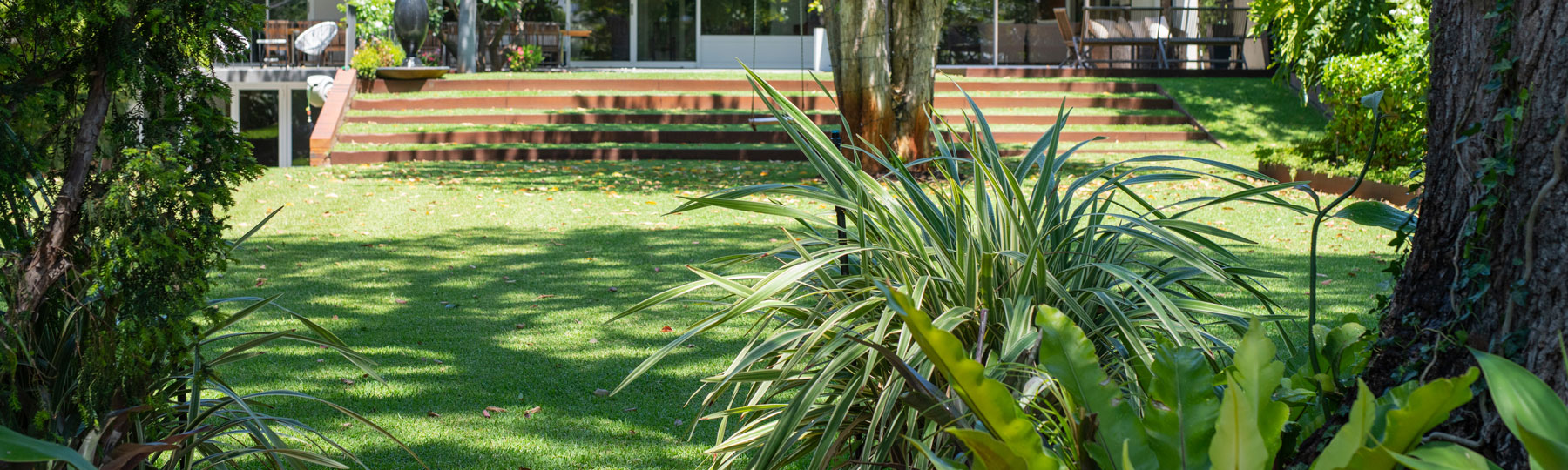 keeping-your-lawn-green-in-summerheader