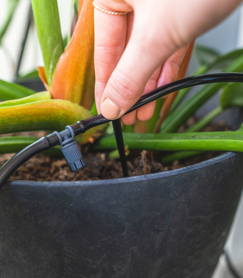 Self Watering Drip Irrigation System Holman Industries