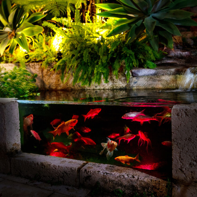 Lighting-Displays-Pond-Lighting RGB Pond Lights