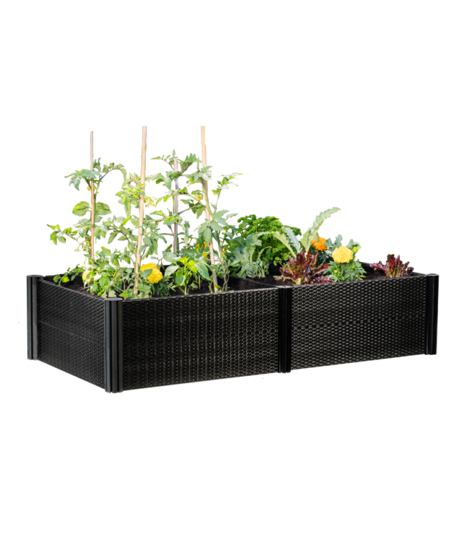 Raised Garden Beds Grow your own Vegetables Holman Industries