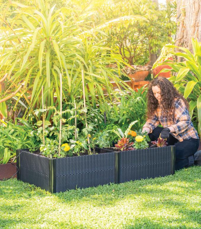 RGB1263R 1200 x 600 x 300mm Rattan Raised Garden Bed Lifestyle