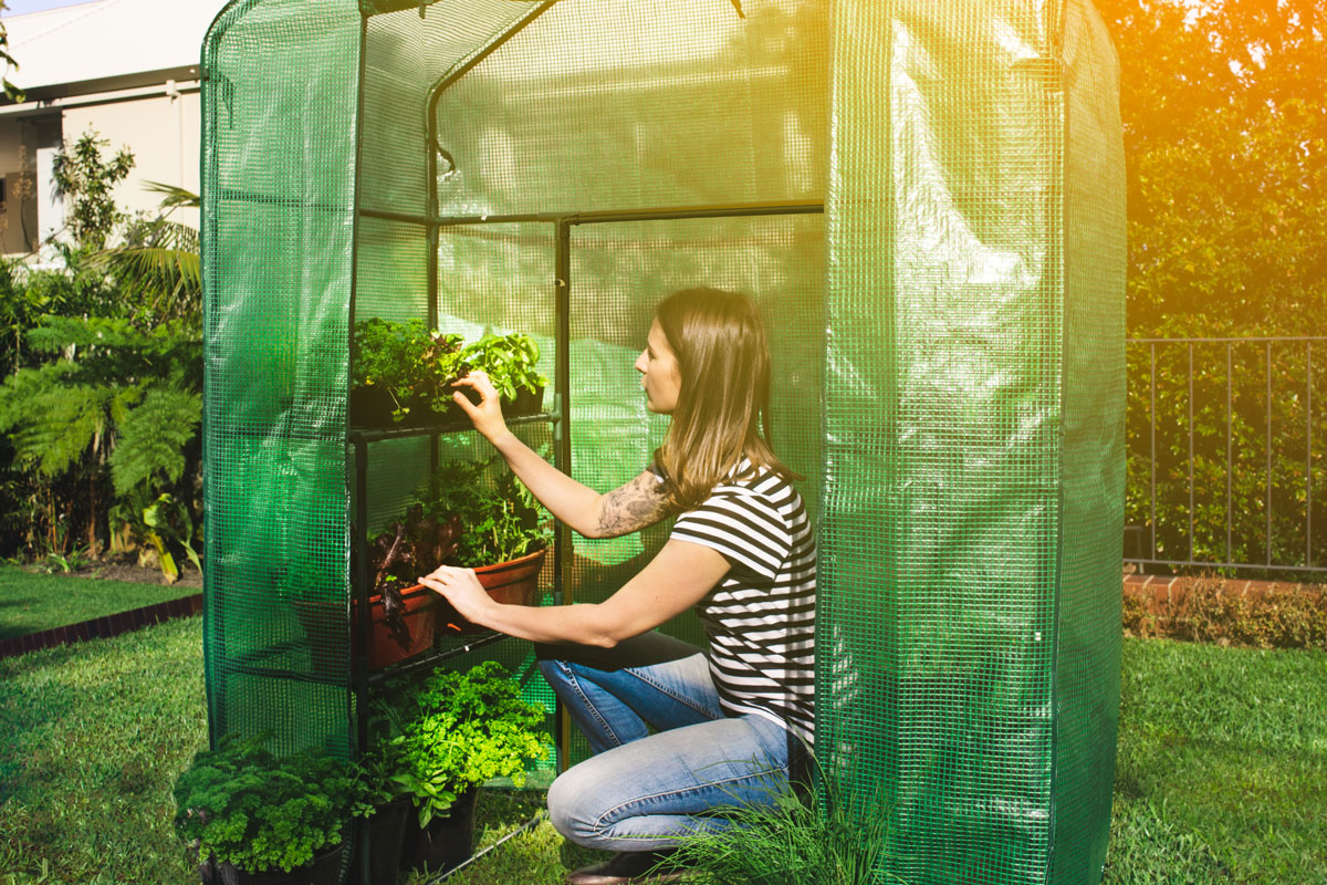 Mother's Day gift ideas - walk-in-greenhouse