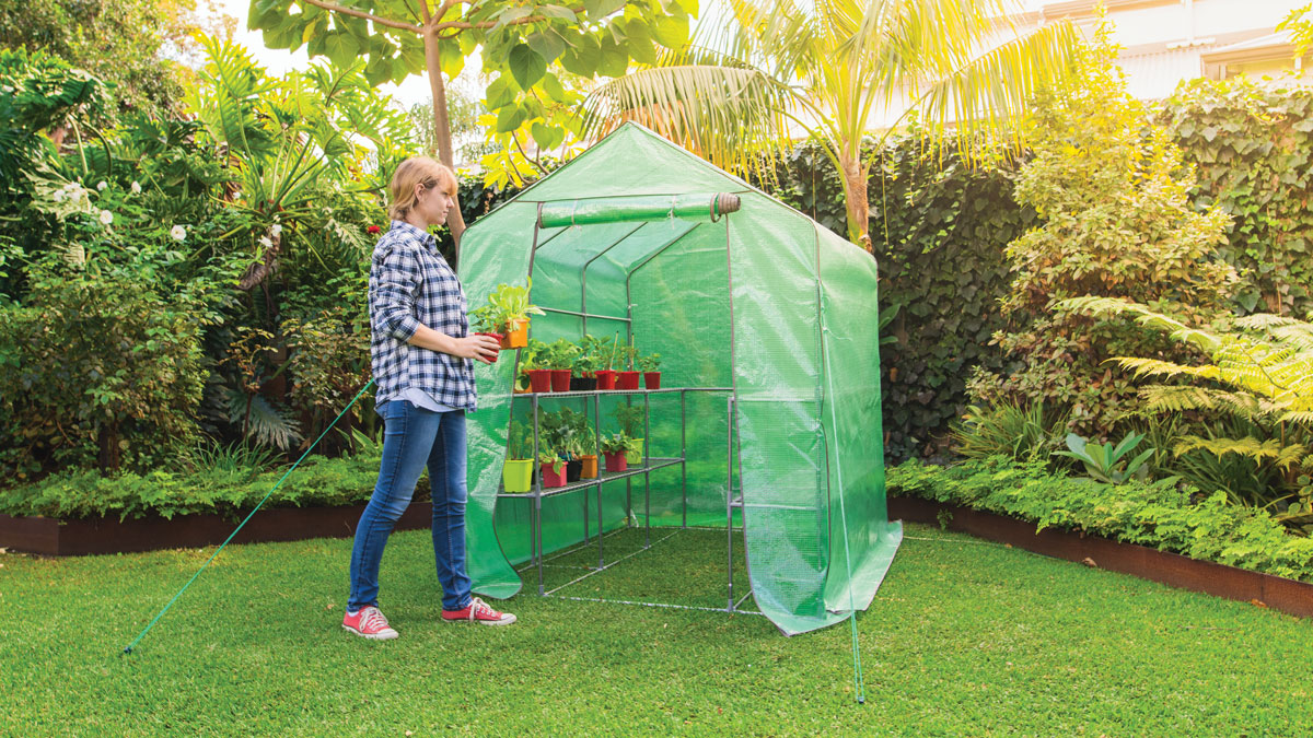 walk in greenhouse - gardening must haves