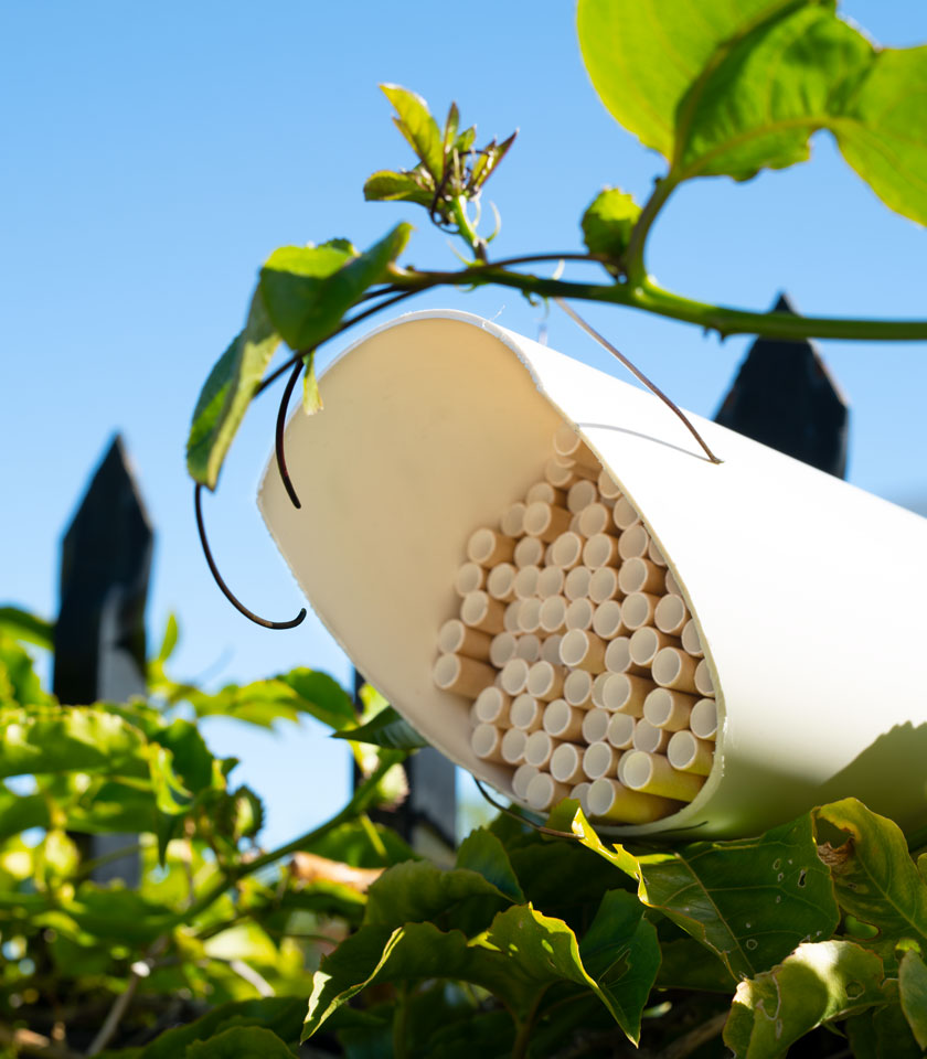 diy bee hotel Step 4