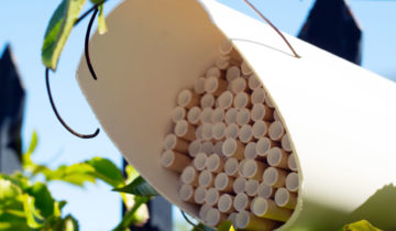 How to Build your own DIY Bee Hotel