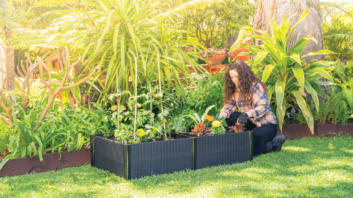 Genius Gardening Gifts planting herb and leafy greens in eco rattan raised garden bed