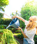 2 Litre ECO Watering Can Frost