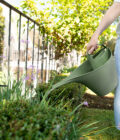 2 Litre ECO Watering Can Sage watering garden