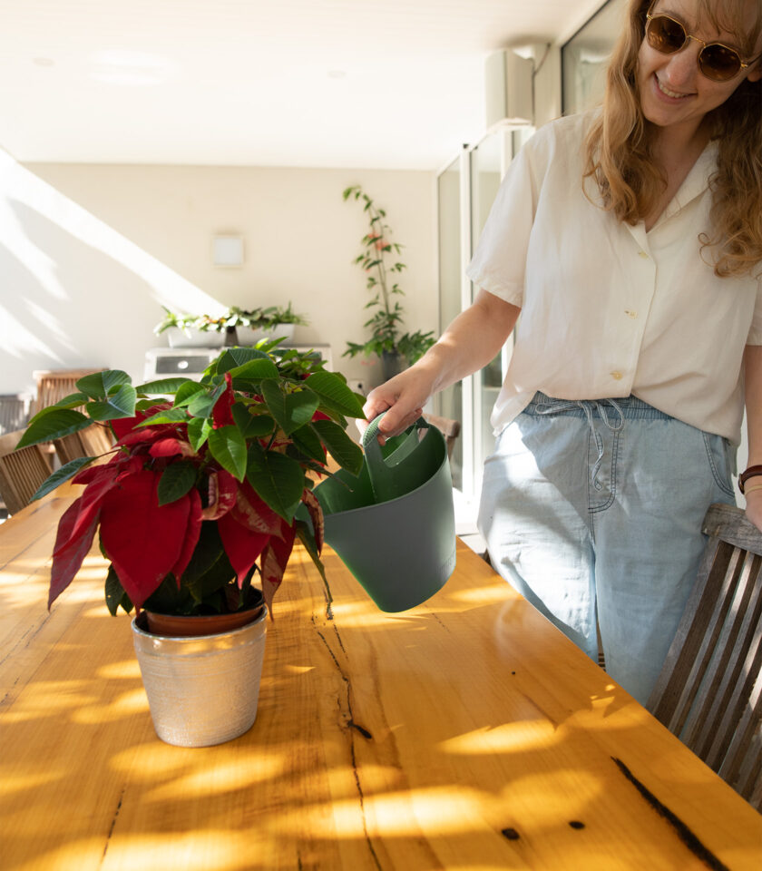 PWC002S 2 Litre ECO Watering Can Sage watering potted plant 2 Litre ECO Watering Can Sage watering potted plant
