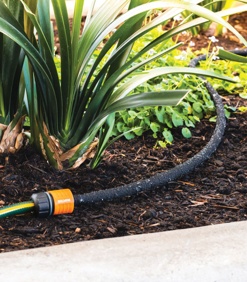 CO1603 dripping hose lifestyle Dripping hoses require low pressure systems to ensure the hose weeps water properly