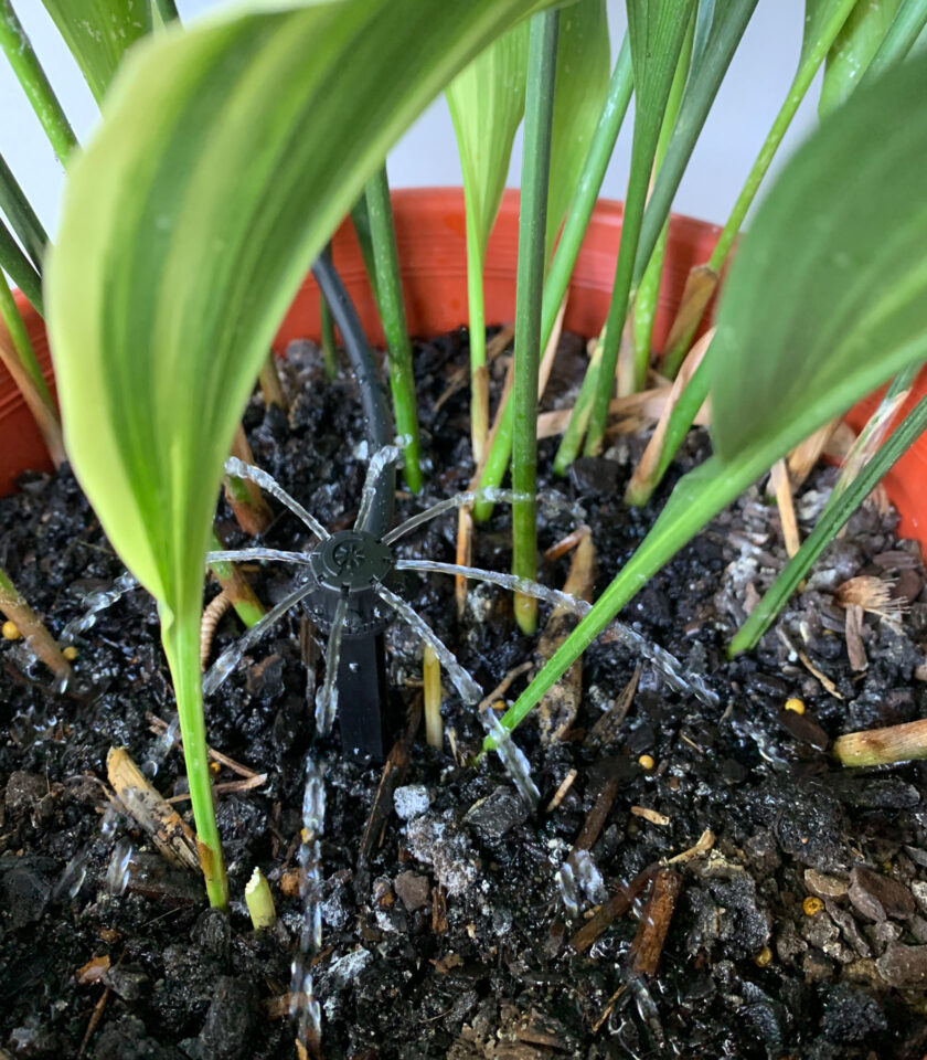 CO1603 drippper lifestyle Low Pressure Tap Timers are great for drippers in potted plants