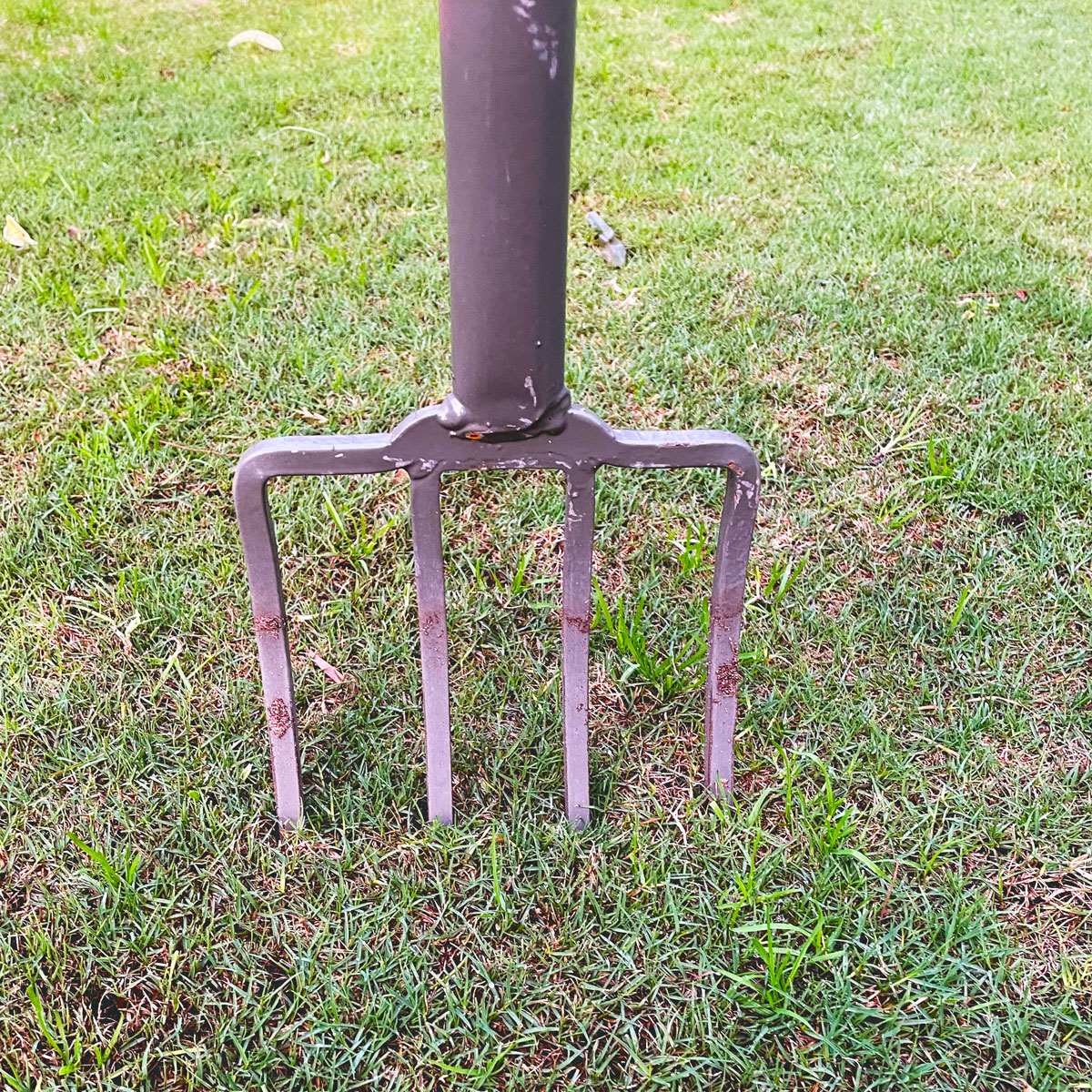 Using a pitch fork to aerate your lawn and get your garden ready for winter