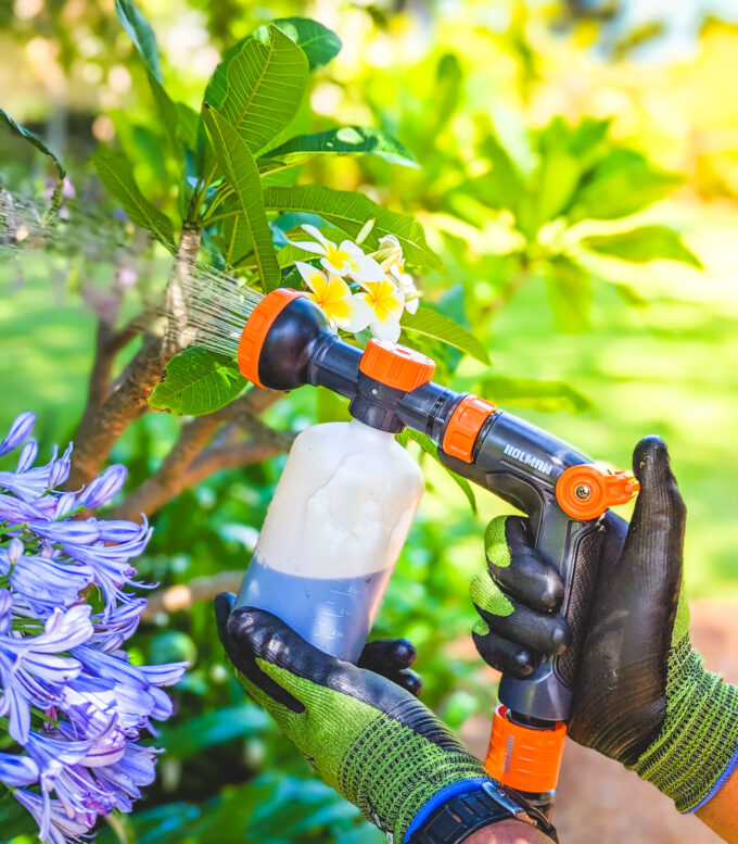 Fertilising Frangipani with QuikMix Spray Gun