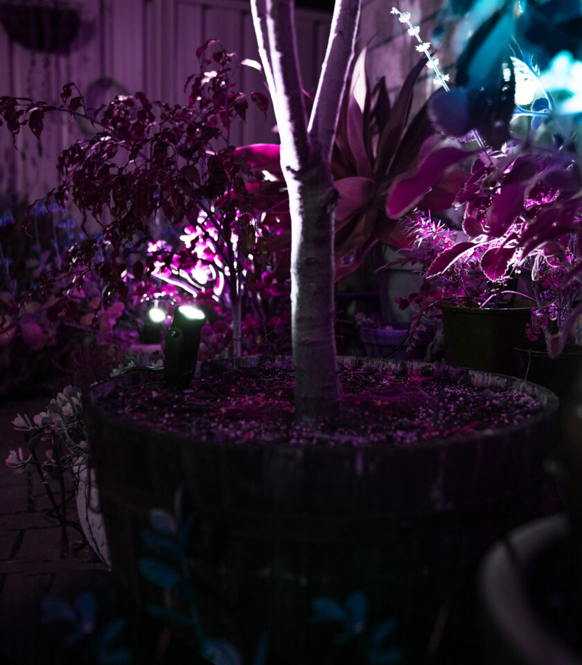 WXPL001-DSC04872-spotlight-pack WXPL001-DSC04872-spotlight-pack