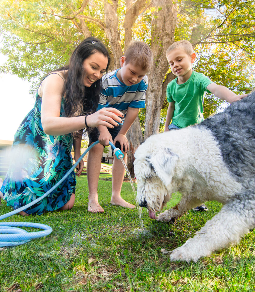 PFI1210F DSC04899-Enhanced-NR 2024 v2 WEB PFI1210F DSC04899-Enhanced-NR 2024 v2 WEB