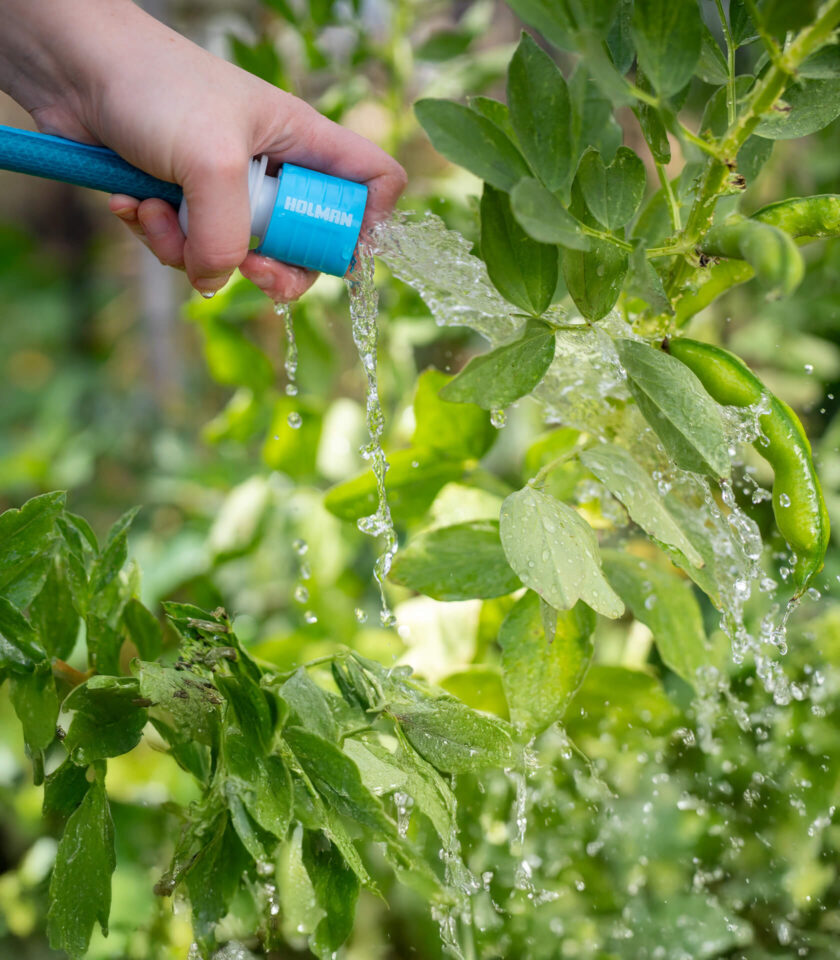 Pureflow DSC00166 2025 v1 WEB Pureflow DSC00166 2025 v1 WEB