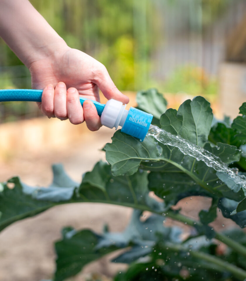 Pureflow DSC00170 2025 v1 WEB Pureflow DSC00170 2025 v1 WEB