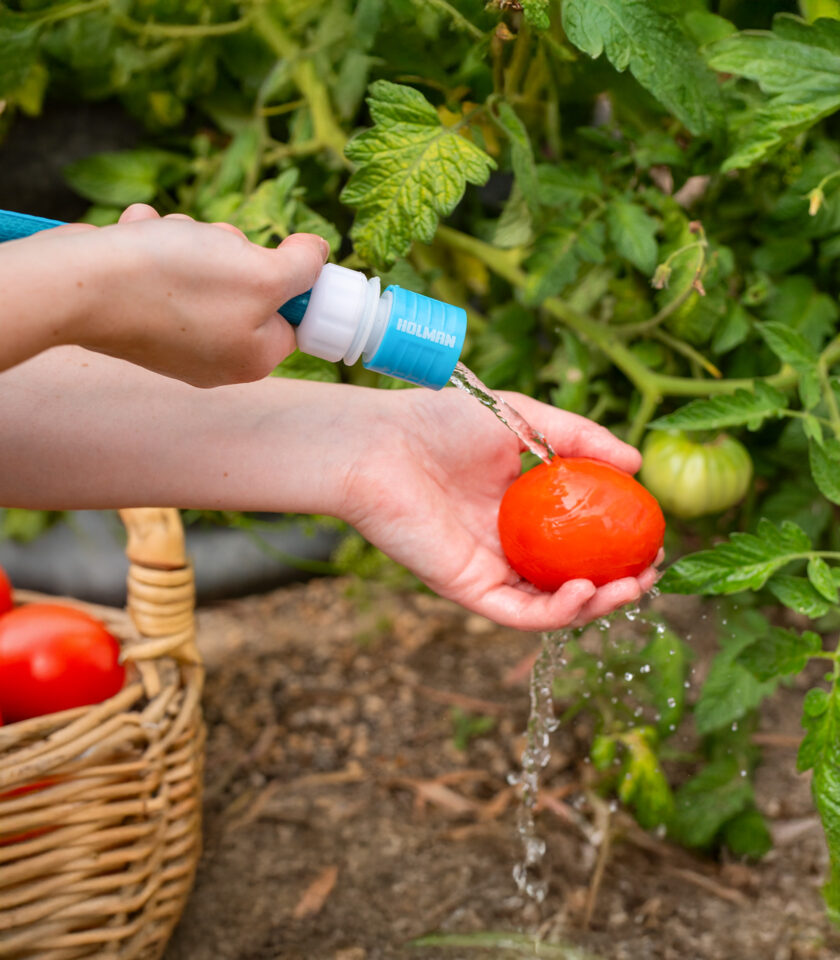 Pureflow DSC00199 2025 v1 WEB Pureflow DSC00199 2025 v1 WEB