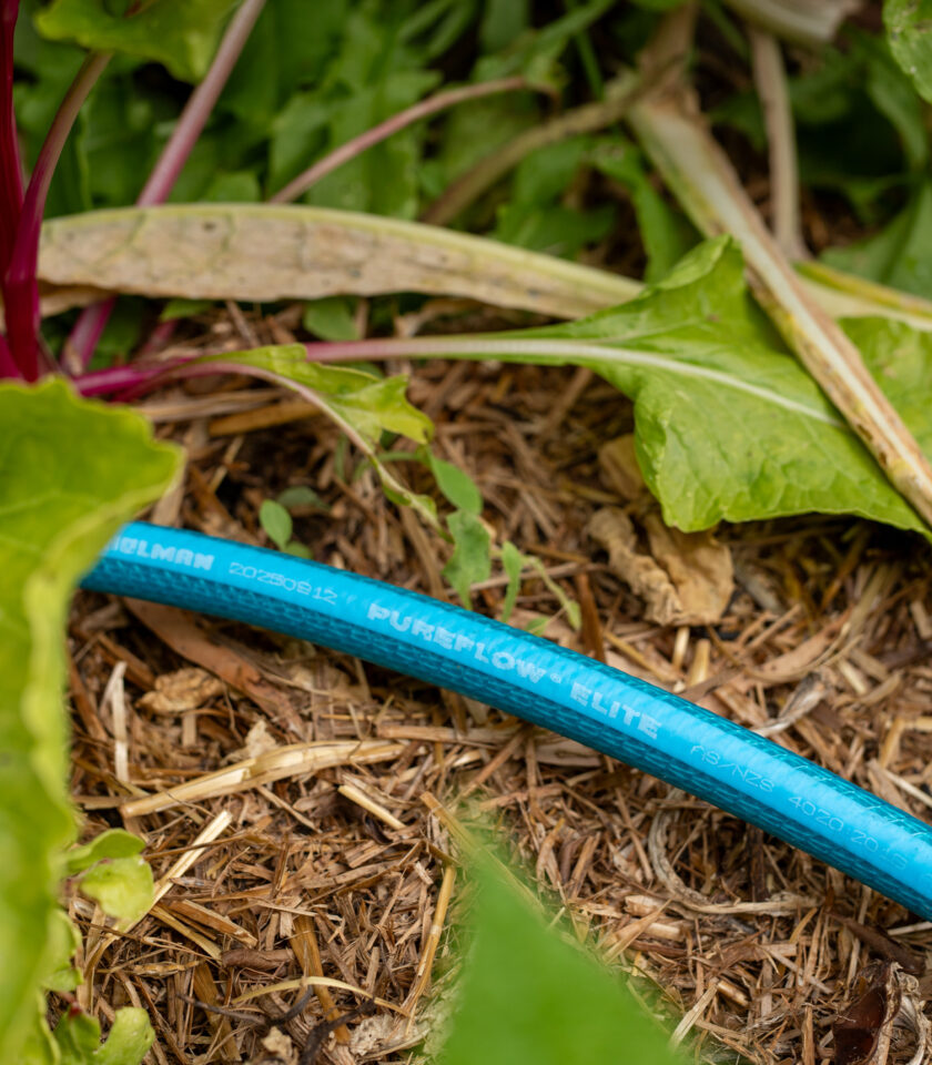 Pureflow DSC00206 2025 v1 WEB Pureflow DSC00206 2025 v1 WEB