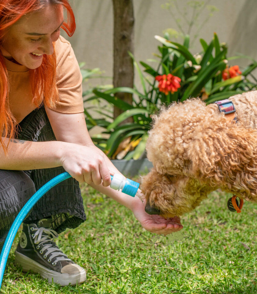 Pureflow DSC00216 2025 v1 WEB Pureflow DSC00216 2025 v1 WEB