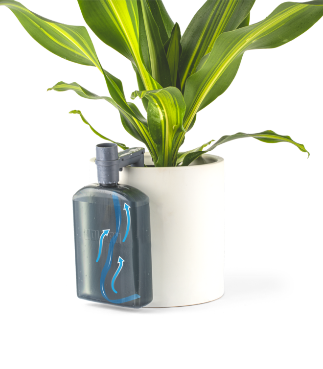 Watermate Infuser Watermate® 750mL Self Watering Tank - Holman Industries