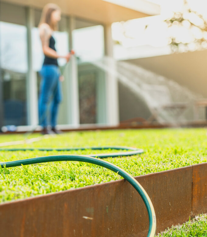 Hand watering the lawn in summer