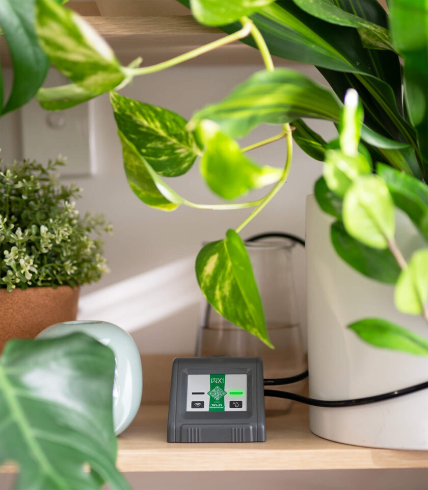 WX2001 DSC03621 v2 WX2001 DSC03621 v2